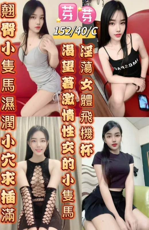 台東定點茶 相關示意圖